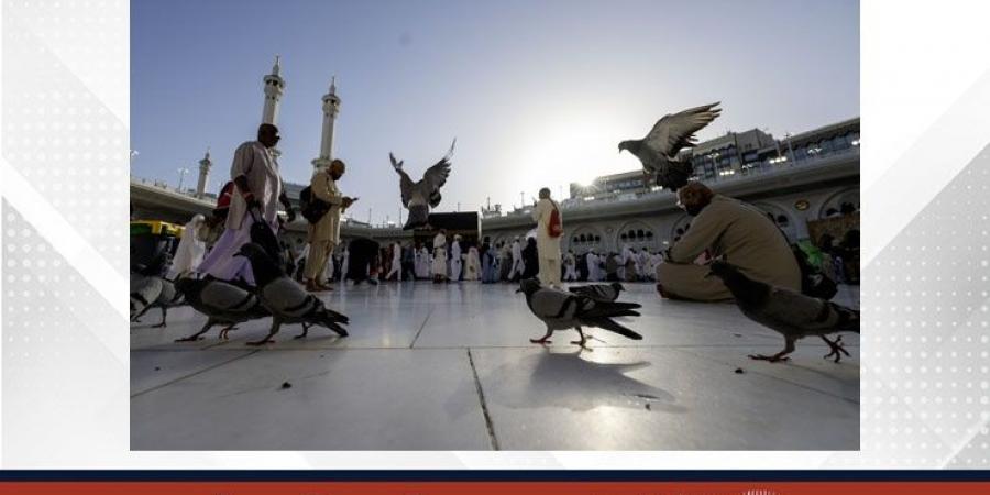 (واس) تخص (بنا) بصورة مميزة من أطهر بقاع الأرض - هرم مصر