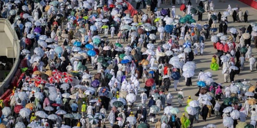 خطة متكاملة لاستقبال الحجاج بالمدينة المنورة.. اليوم - هرم مصر