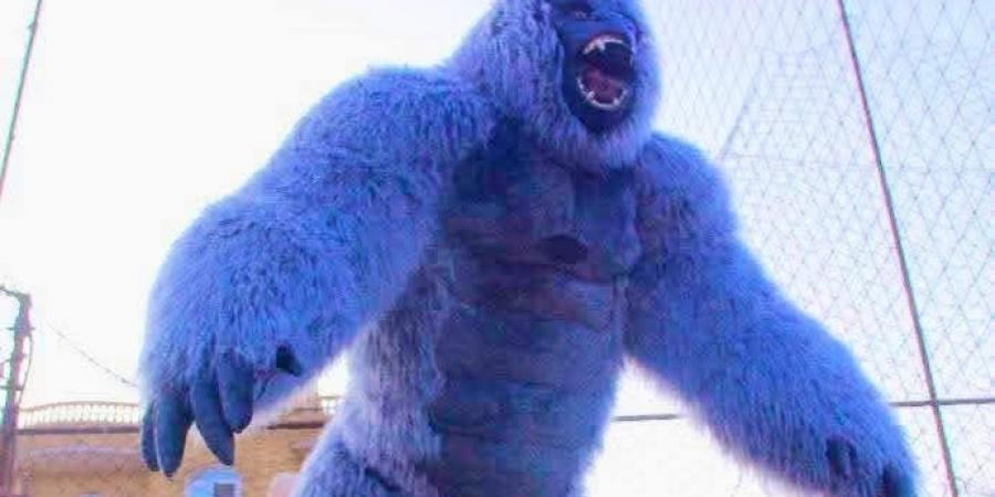 بهجة وفرحة.. العيد أحلى بمراكز شباب الغربية خلال الإجازة - هرم مصر