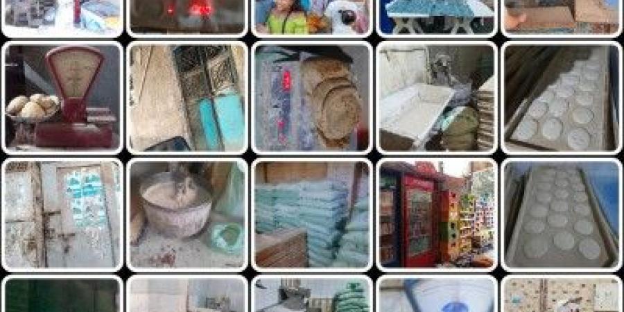 تموين القليوبية تحرر 396 محضرا ومخالفة خلال حملات على الاسواق - هرم مصر