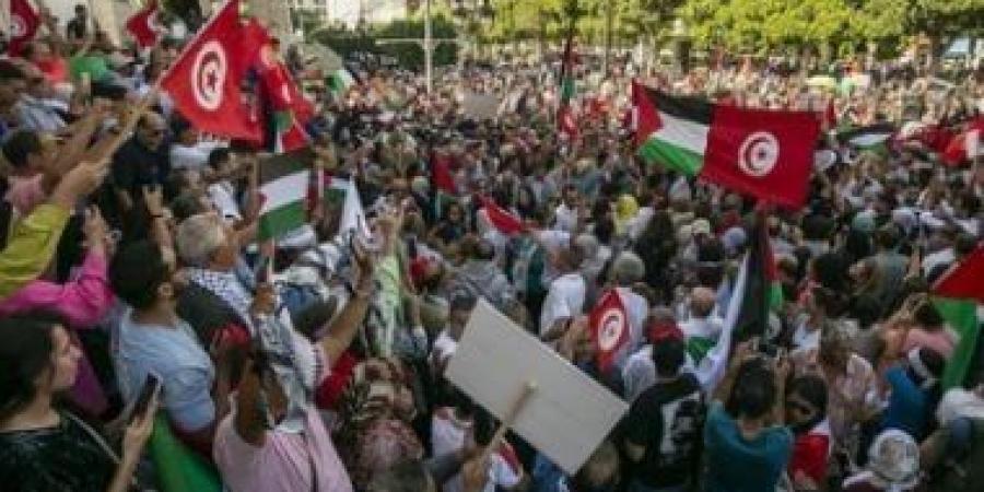 تنطلق غدا من تونس بمشاركة 2000 شخص.. قافلة "الصمود" لمحاولة فك حصار غزة - هرم مصر
