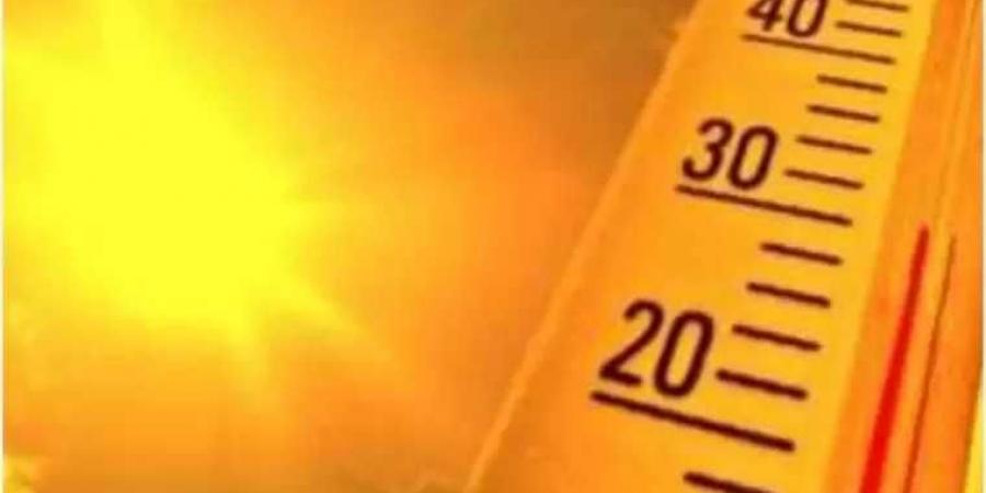 الأرصاد تحذر: طقس مائل للحرارة ونشاط للرياح المثيرة للأتربة - هرم مصر