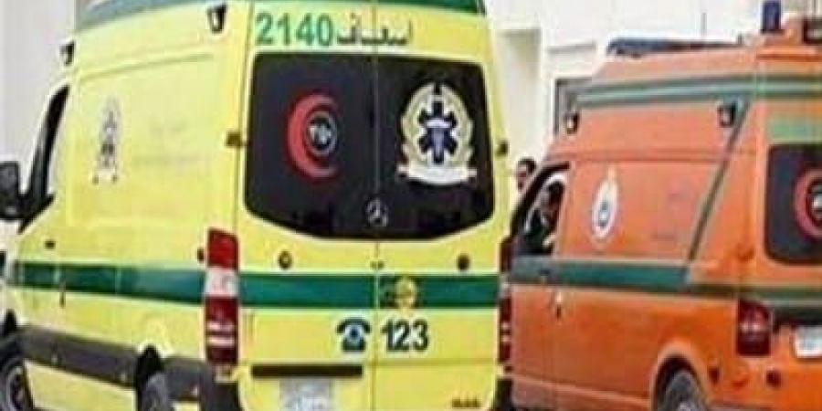 إصابة 8 أشخاص في انقلاب ميكروباص أعلى كوبري الفحص ببنها - هرم مصر