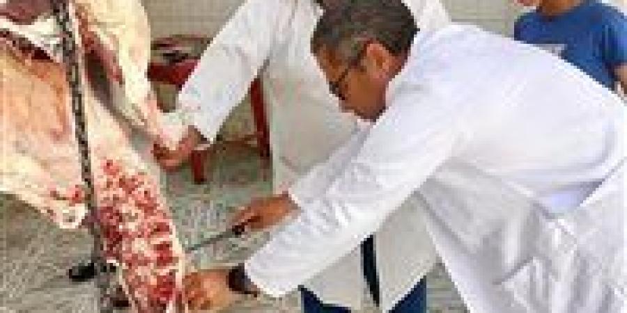 ذبح 561 أضحية بمجازر الطب البيطري بالمجان بالشرقية فى ثالث أيام عيد الأضحي - هرم مصر