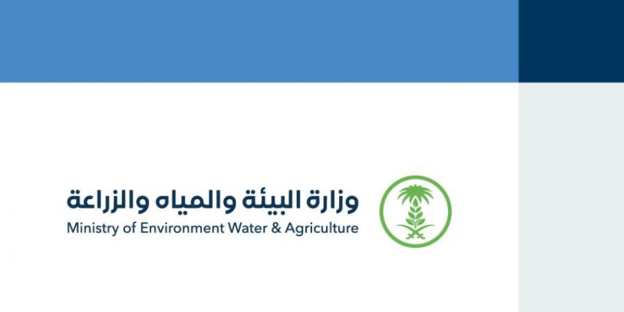 مسالخ نجران تستقبل 6500 أضحية خلال أيام عيد الأضحى - هرم مصر