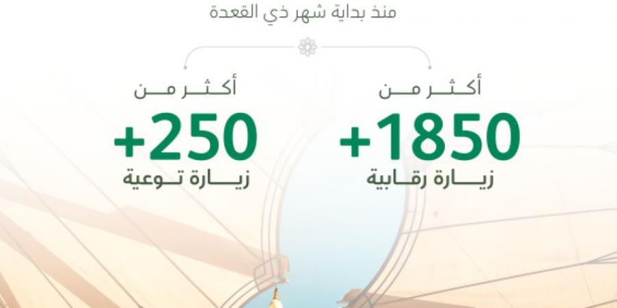 السياحة تنفذ 1850 زيارة رقابية على مرافق الضيافة في المدينة المنورة - هرم مصر