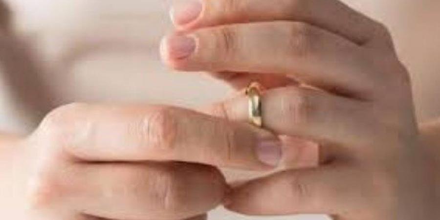 ترك لها 6000 جنيه وكتب ثروته لكلبيه.. قصة سيدة من أروقة محكمة الأسرة - هرم مصر