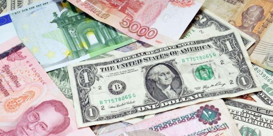 أسعار العملات العربية والأجنبية اليوم الأربعاء 11 يونيه 2025 - هرم مصر