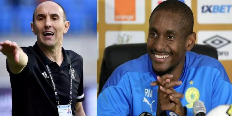 بيراميدز يطيح بـيورتشيتش ورولاني موكوينا بديلاً - هرم مصر