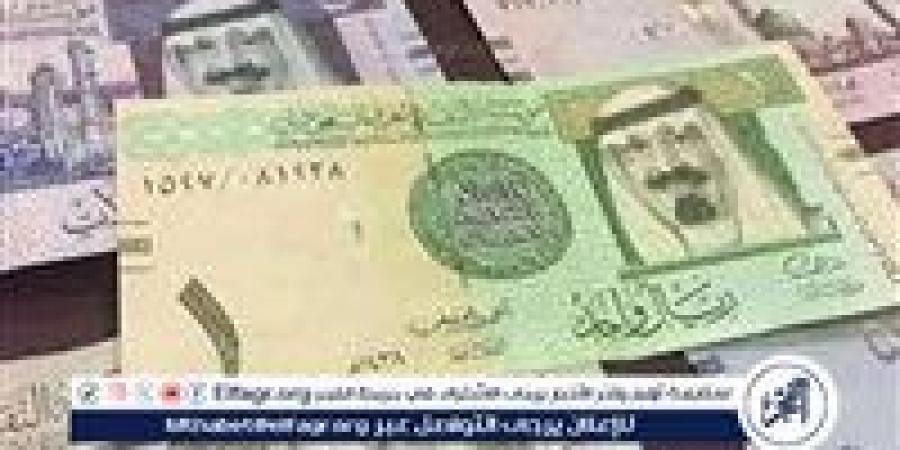 سعر الريال السعودي اليوم في البنوك المصرية.. هل يؤثر موسم الحج على الطلب والتحويلات؟ - هرم مصر
