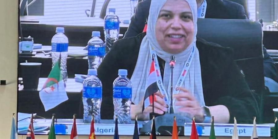وفد وزارة التعليم العالي يشارك في اجتماع G20 البحثي بجنوب أفريقيا - هرم مصر