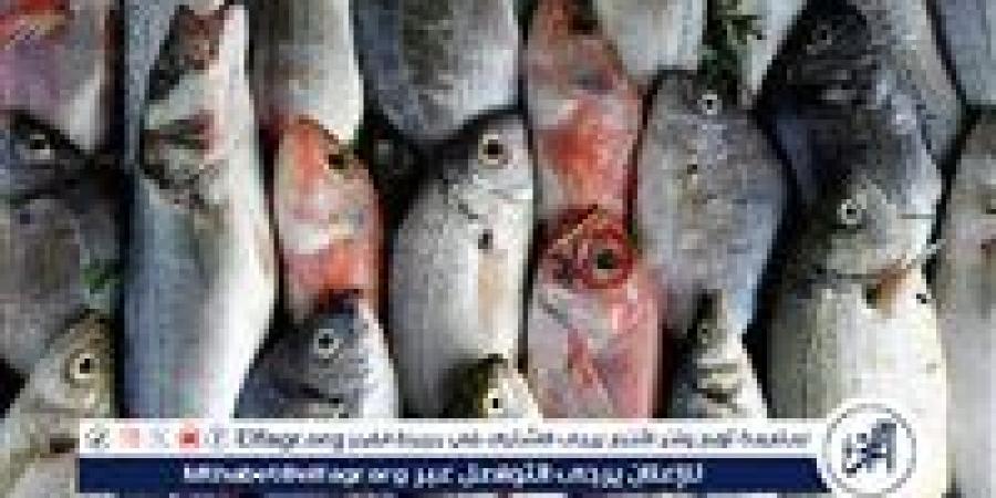 تعرف على أسعار الأسماك اليوم الخميس الموافق 12-6-2025 فى سوهاج - هرم مصر