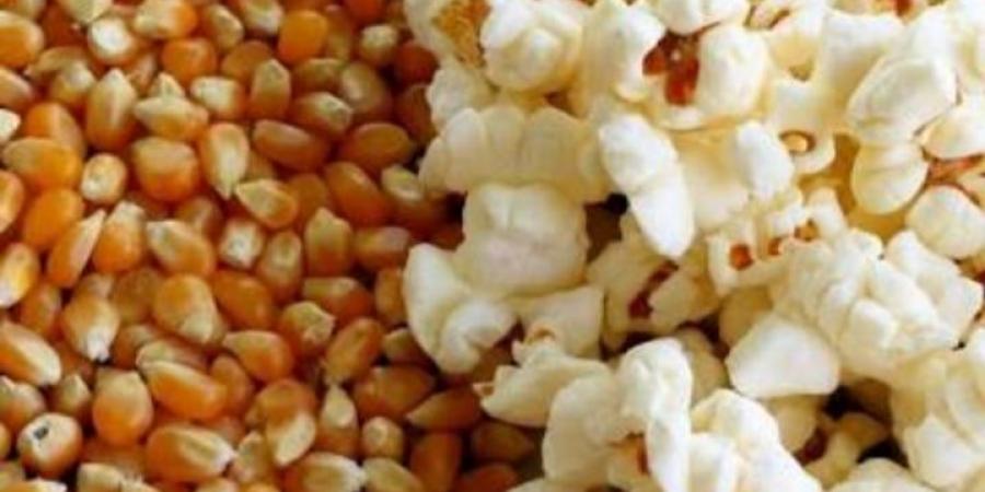 ماذا يحدث للجسم عند تناول الفشار؟ - هرم مصر