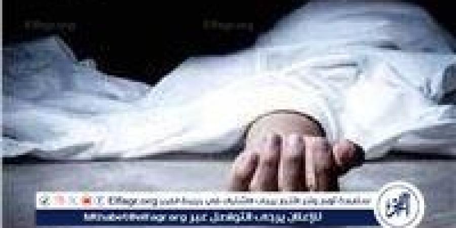 وفاة مقاول الأنفار المتهم في التنقيب عن الآثار أسفل قصر ثقافة الطفل بالأقصر - هرم مصر