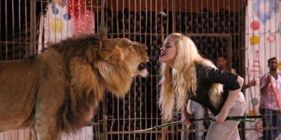 تأجيل محاكمة مدربة الأسود أنوسه كوتة في واقعة النمر بطنطا إلى 21 يونيو - هرم مصر