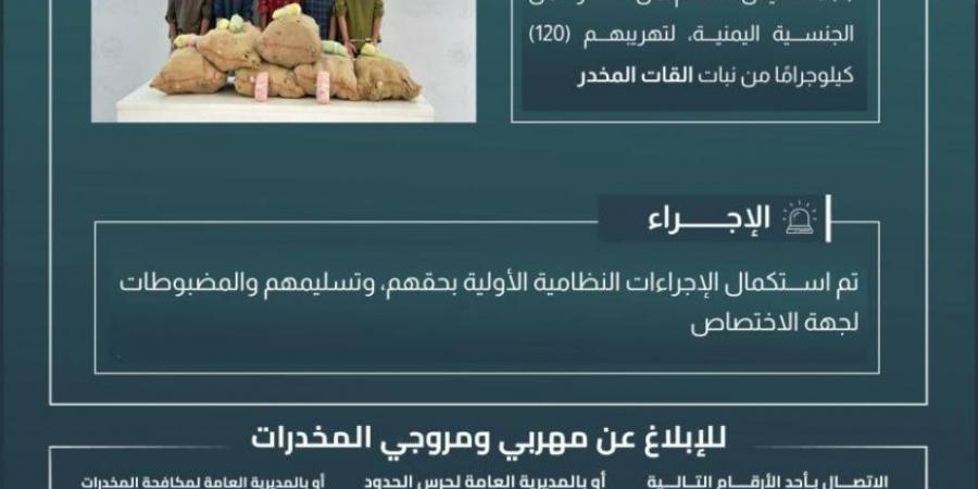 حرس الحدود بجازان يقبض على (5) مخالفين لتهريبهم (120) كيلوجرامًا من القات المخدر - هرم مصر