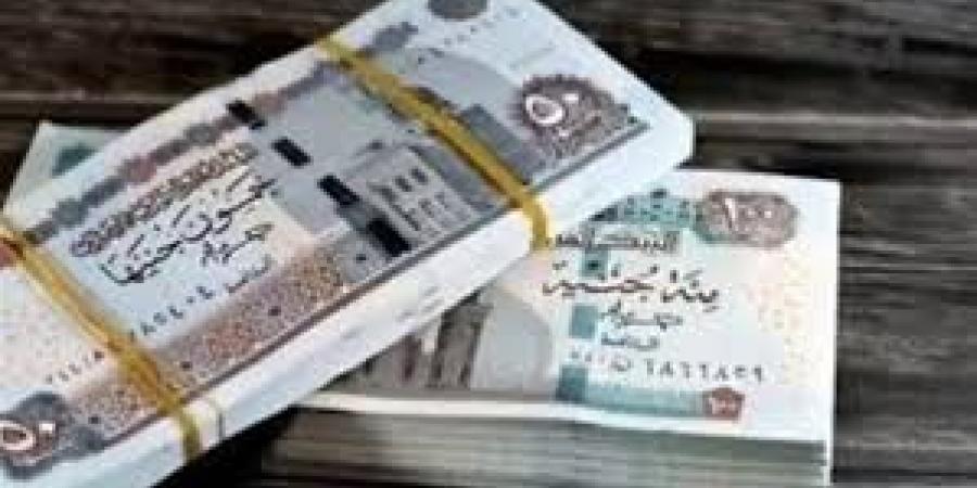 قانون التأمينات الجديد 2025.. ما مصير استحقاق الابن لمعاش والده المتوفى؟ - هرم مصر