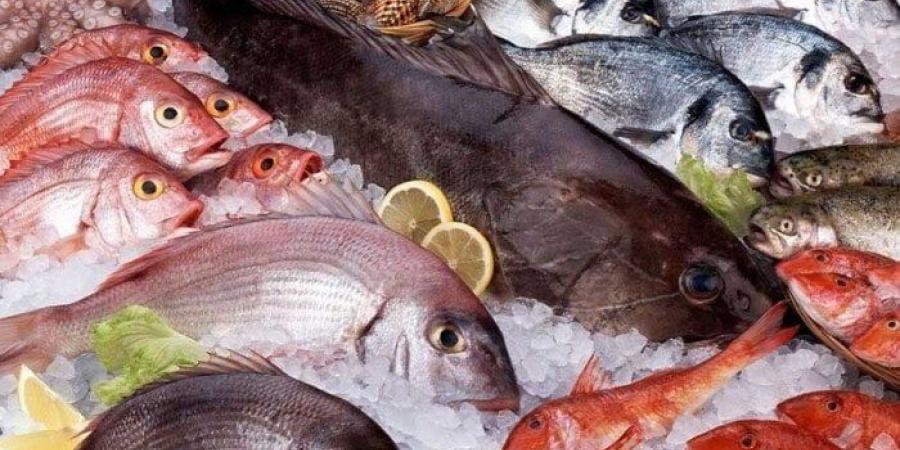 أسعار السمك والجمبري اليوم السبت 14 يونيو 2025.. البلطي يبدأ من 30 جنيهًا - هرم مصر