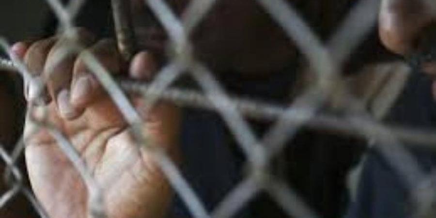بحوزته 65 ألف قرص مخدر.. صاحب مول شهير  يواجه هذه العقوبة - هرم مصر