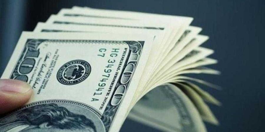 أسعار الدولار في مصر اليوم السبت - هرم مصر