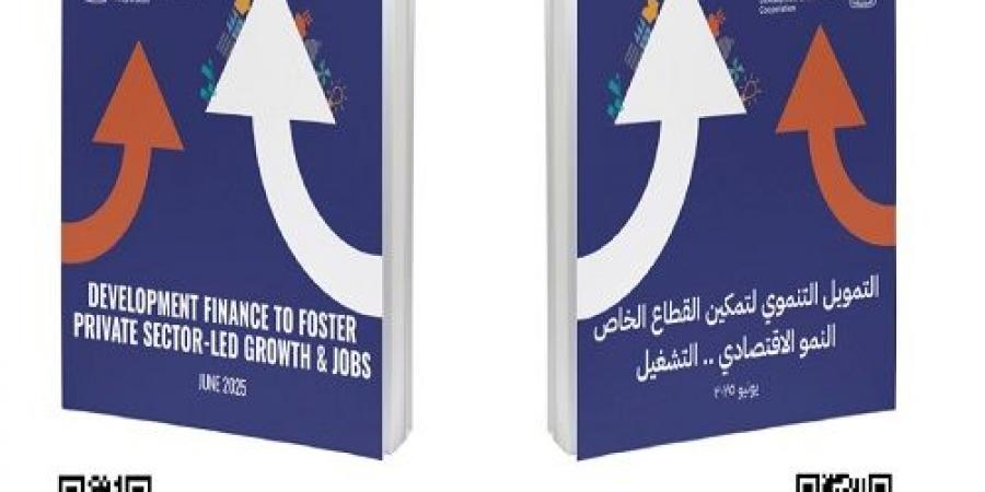 بنسبة 22%.. البنك الأوروبي يتصدر التمويلات للقطاع الخاص - هرم مصر