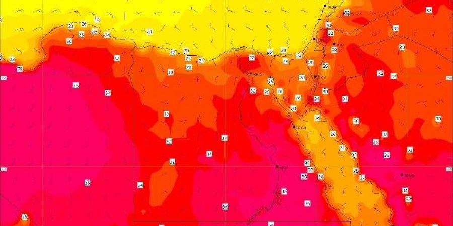 طقس الأحد.. الأرصاد تحذر من رياح وأتربة واضطراب الملاحة - هرم مصر