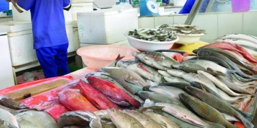 20 % ارتفاع في أسعار الأسماك لزيادة الطلب - هرم مصر