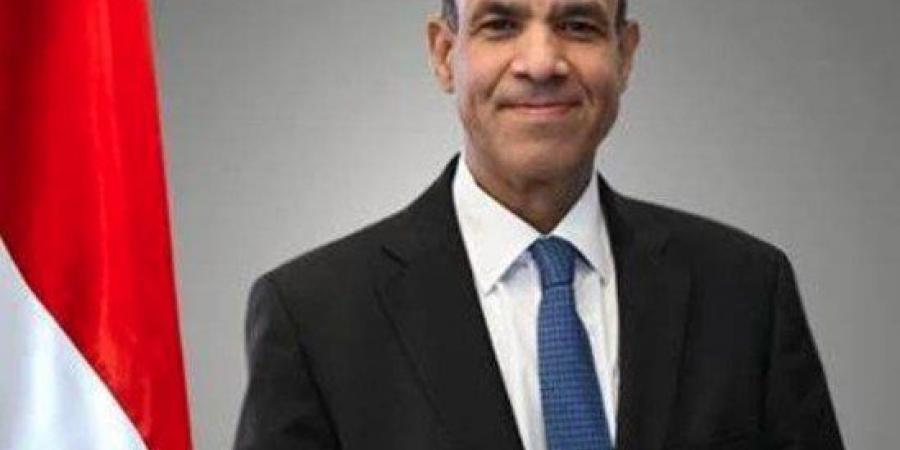 وزير الخارجية يؤكد للجالية المصرية بالمملكة المتحدة أهمية المشاركة بالاستحقاقات القادمة - هرم مصر