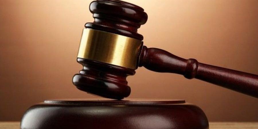 بعد قليل.. استكمال محاكمة 7 متهمين في قضية «خلية مدينة نصر» - هرم مصر