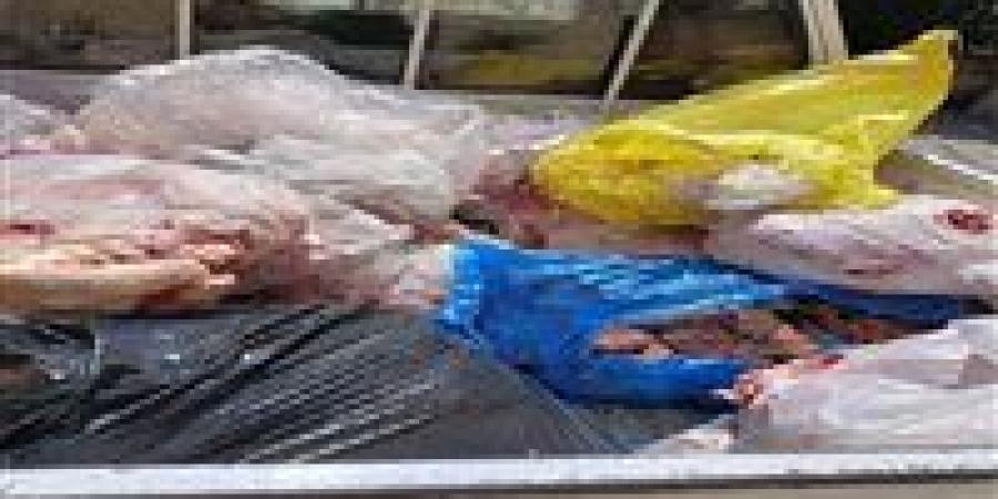 ضبط 325 كجم أغذية فاسدة ومجهولة المصدر بالغربية - هرم مصر