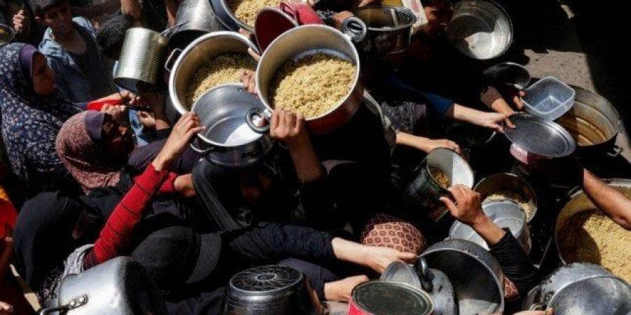6 شهداء و30 مصابا بقصف للاحتلال استهدف منتظري المساعدات شمال غرب مدينة غزة - هرم مصر