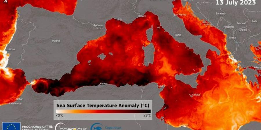 ما القبة الحرارية التي تتأثر بها دول المنطقة؟ - هرم مصر