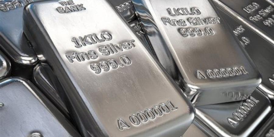 بديل الذهب.. سعر الفضة اليوم الثلاثاء 17 يونيو 2025 - هرم مصر