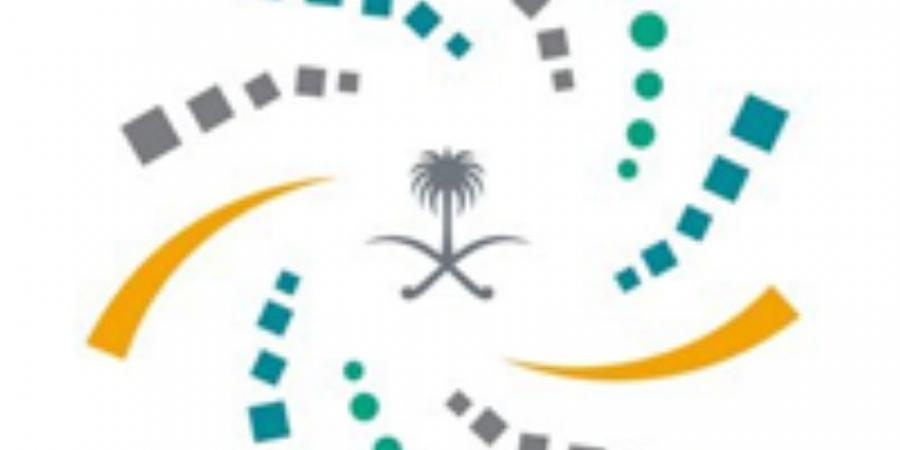 برنامج خادم الحرمين للابتعاث يفتح التقديم بمسار التوحد المبتدئ بالتوظيف - هرم مصر