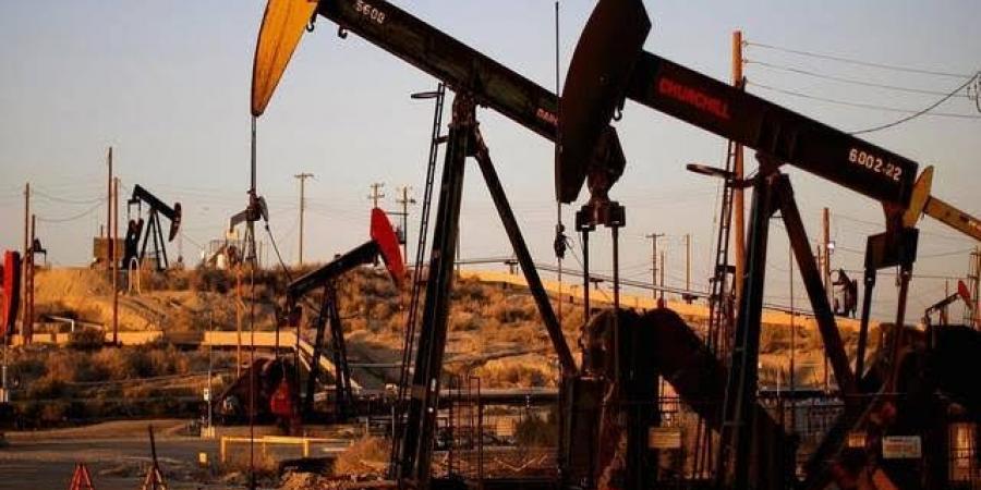 خبير أسواق المال: القطاعات المرتبطة بالطاقة والغذاء تبقى الأكثر أمانًا في فترات الاضطرابات - هرم مصر