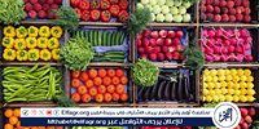 أسعار الخضروات اليوم الاربعاء 18-6-2025 في قنا - هرم مصر