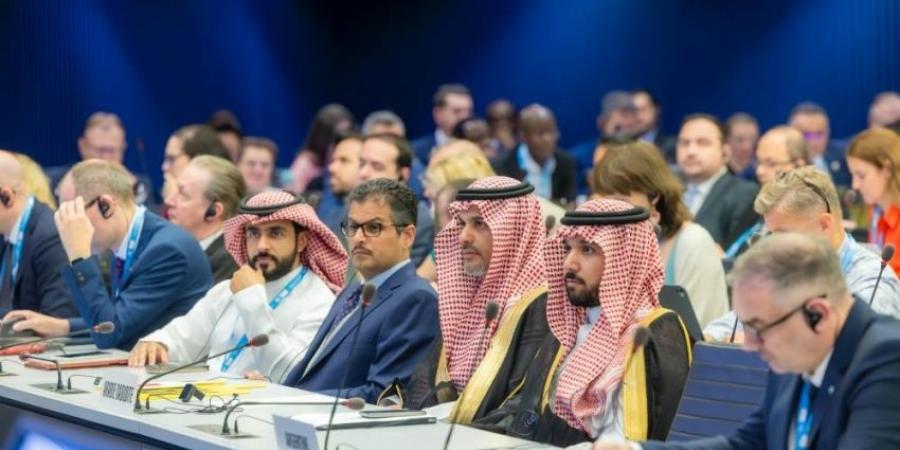 تقليص الفجوة الرقمية بالمملكة إلى 1 % - هرم مصر