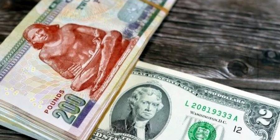 16 مليون جنيه.. ضربة جديدة لمافيا العملة - هرم مصر