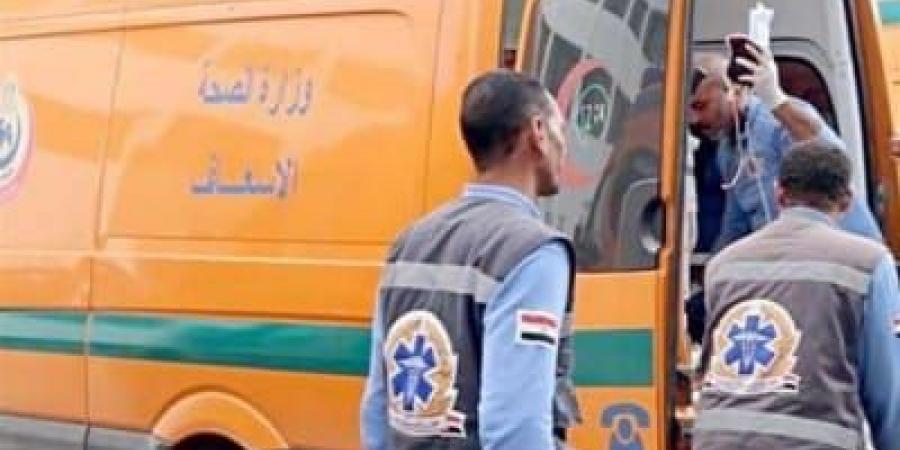 إصابة 5 أشخاص في تصادم سيارة ملاكي وتوكتوك بطريق مسطرد بالقليوبية - هرم مصر