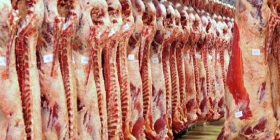 أسعار اللحوم الحمراء اليوم الجمعة - هرم مصر
