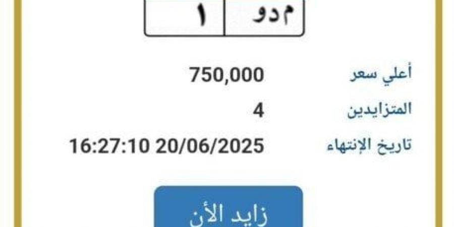 اقتربت من مليون جنيه.. مزايدة نارية على لوحة سيارة مميزة - هرم مصر