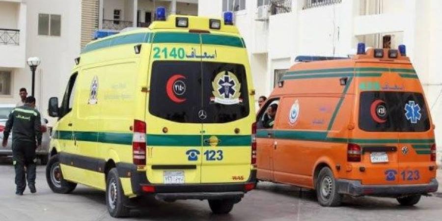 بالأسماء .. إصابة 7 أشخاص في تصادم ملاكي ودراجه نارية بملوي المنيا - هرم مصر