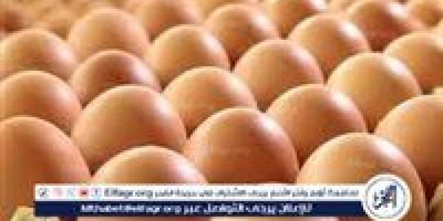 أسعار طبق البيض اليوم السبت 21-6-2025 في الدقهلية - هرم مصر
