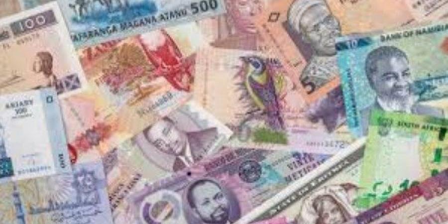جهود أفريقية لإقامة مدفوعات بالعملات المحلية تصطدم بهيمنة الدولار وضغوط ترامب - هرم مصر
