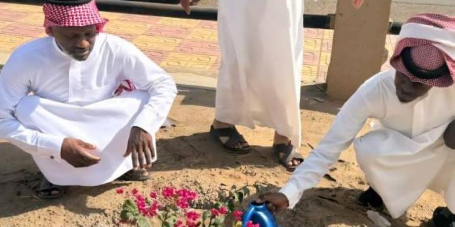 مبادرتين لمكتب بيئة رنية لسقيا المزروعات - هرم مصر