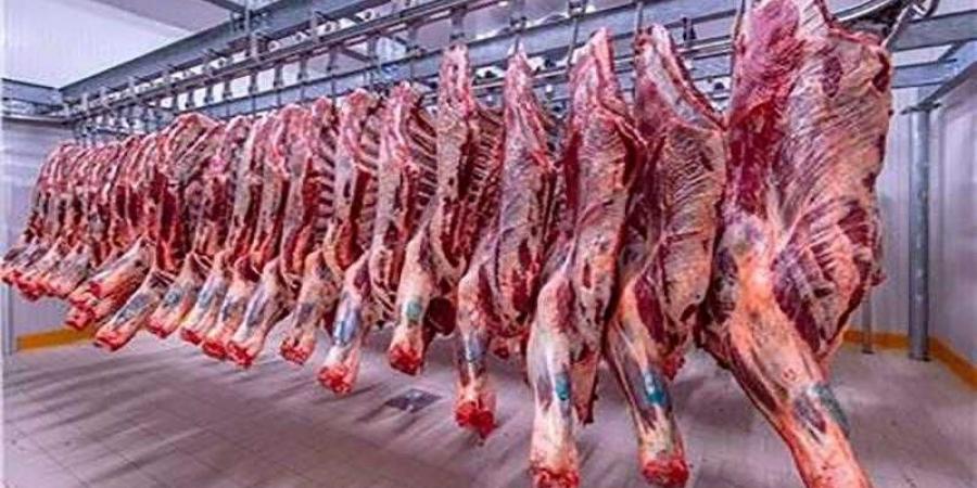 أسعار اللحوم الحمراء اليوم السبت - هرم مصر
