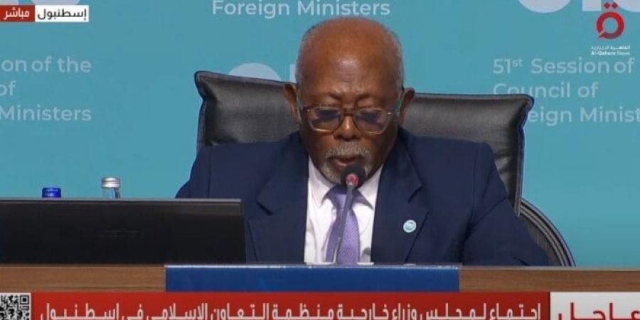 بث مباشر.. بدء فعاليات اجتماع مجلس وزراء خارجية منظمة التعاون الإسلامي في إسطنبول - هرم مصر