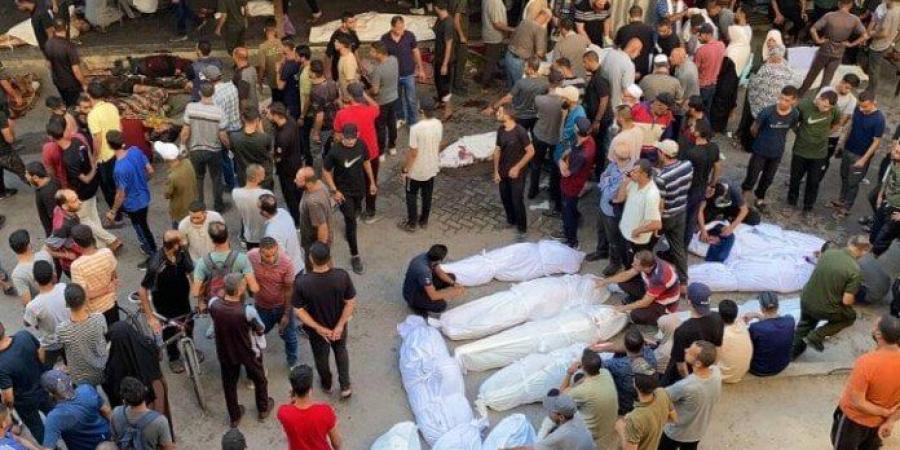 9 شهداء في قصف للاحتلال استهدف فلسطينيين ينتظرون المساعدات في غزة - هرم مصر