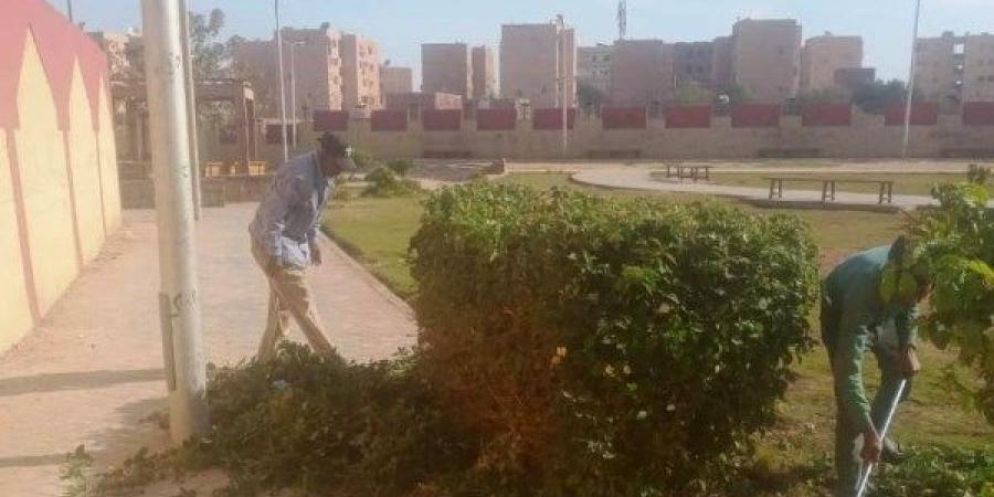 حملات متتالية لرفع الإشغالات وتنفيذ النظافة العامة بالمناطق والأحياء السكنية بأسوان - هرم مصر