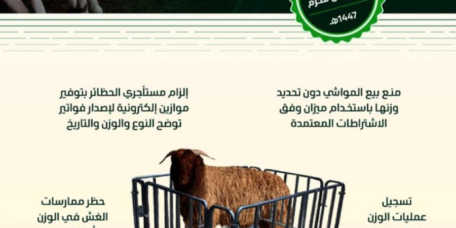 البيئة: (6) ضوابط لبيع المواشي الحية بالوزن ابتداء من غرة محرم - هرم مصر